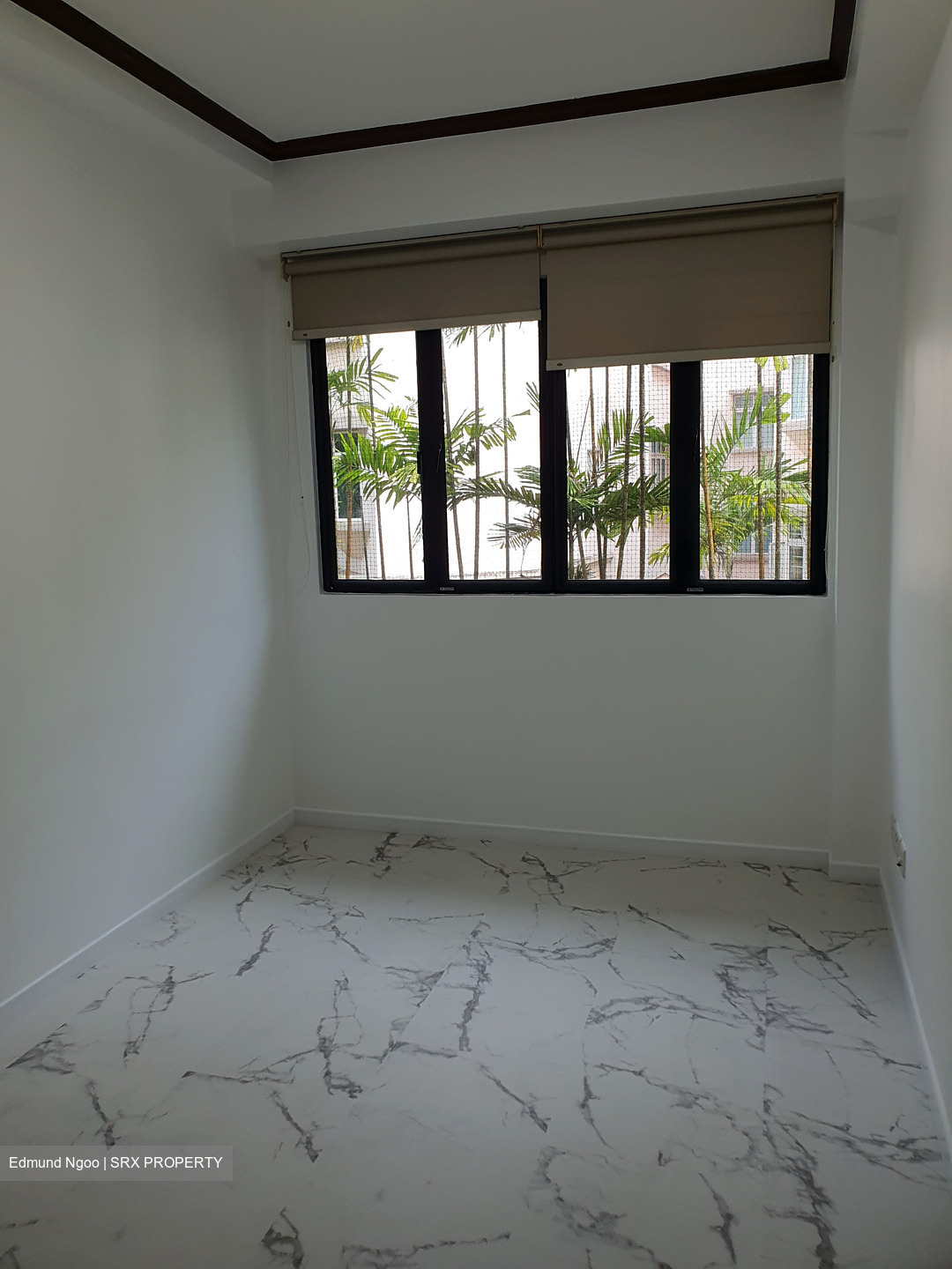 Mendon Spring (D5), Apartment #434987711